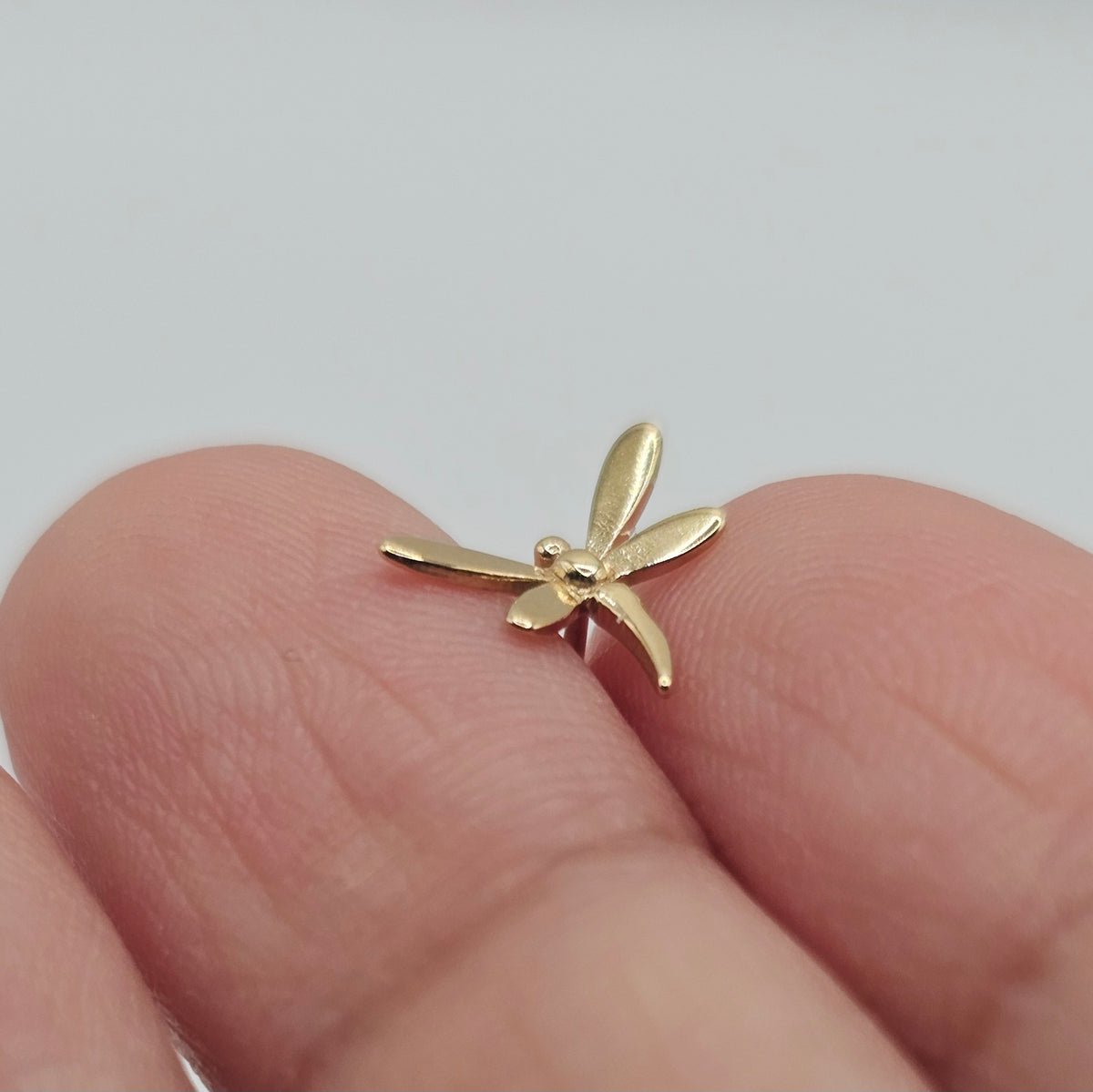 14K Solid Gold Dragonfly Ear Studs